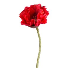 Poppy, 52 cm, red