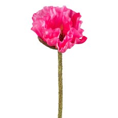 Mohn, 52 cm, pink