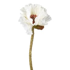 Poppy, 52 cm, cream