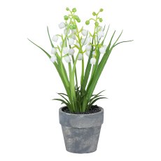 Lily of the valley in grey