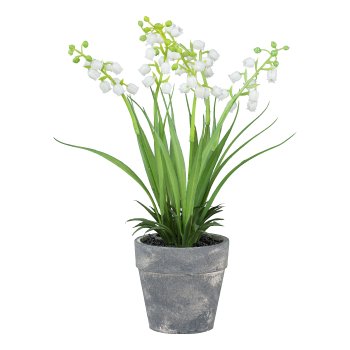 Lily of the valley in grey pot, 22cm, white