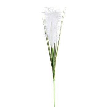 Pampasgras, 115cm, weiß