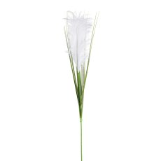 Pampasgras, 115 cm, weiß