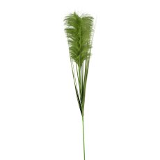Pampasgras, 115 cm, grün