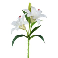 Lily with buds, 39 cm, white