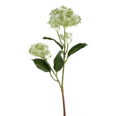 Ammizweig 65 cm, grün-weiß