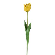 Wild Tulpe, gelb, 47cm