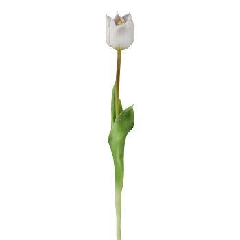 Wild Tulip, white, 47cm