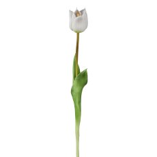 Wild Tulpe, weiß, 47cm