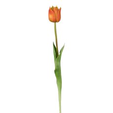 Wild Tulpe, orange, 47cm