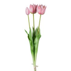 Wild Tulpenbund x 3, rosa, 47cm