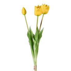 Wild Tulpenbund x 3, gelb, 47cm