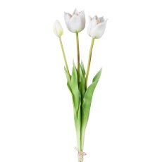 Wild Tulpenbund x 3, weiß, 47cm