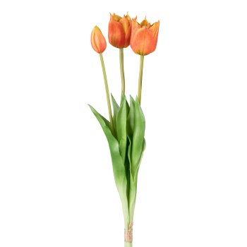 Wild Tulpenbund x 3, orange, 47cm