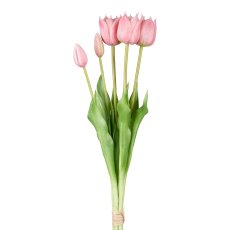 Tulpenbund x 5, 47cm, rosa