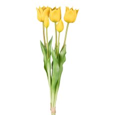 Tulip waistband x 5, yellow