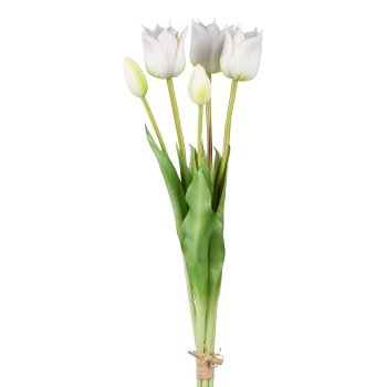 Tulpenbund x 5, 47cm, weiß