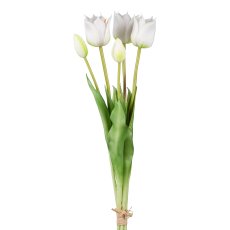Tulip waistband x 5, white