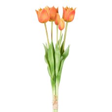 Tulpenbund x 5, 47cm, orange