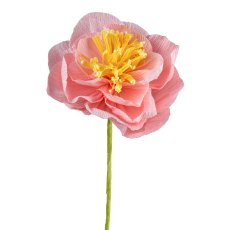 Paper Flower Camellia,