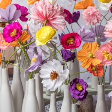 Papierblume Cosmos, 45cm, apricot