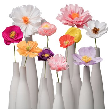 Paper Flower Cosmos, 45cm, apricot