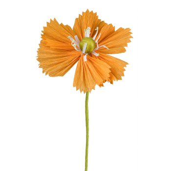 Papierblume Cosmos, 45cm, apricot