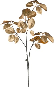 Handroanthus, 90cm, gold