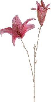 Lily, 67cm, pink