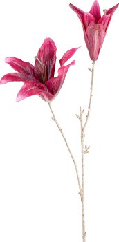 Lily, 67cm, magenta