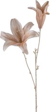 Lily, 67cm, beige