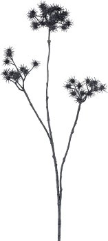 Daucus, 84cm, black