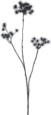 Daucus, 84cm, schwarz