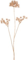 Daucus, 84cm, gold