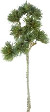 Cedar branch, 61cm, green