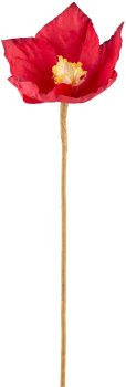 Papier Christrose, 49cm, rot