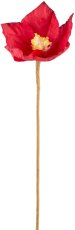 Papier Christrose, 49cm, rot