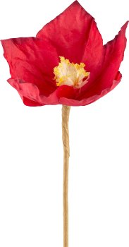 Papier Christrose, 49cm, rot