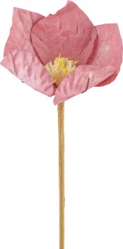 Papier Christrose, 49cm, rosa pfeffer