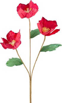 Papier Christrose x3, 72cm, rot