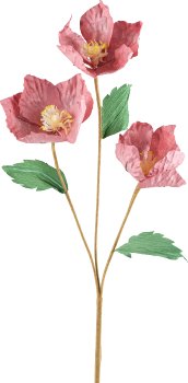 Paper Christmas Rose x3, 72cm, pink pepper