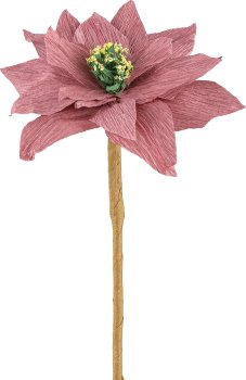 Papier Poinsettia, 44cm, rosa pfeffer