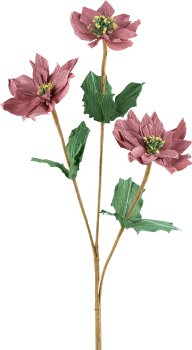 Papier Poinsettia x3, 67cm, rosa pfeffer