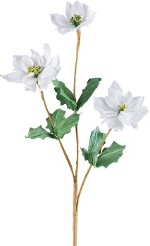 Papier Poinsettia x3, 67cm, weiss
