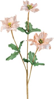 Paper Poinsettia x3, 67cm, apricot