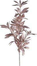 Podocarpuszweig, 55cm, champagner