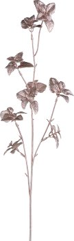Balmbranch, 74cm, champagne