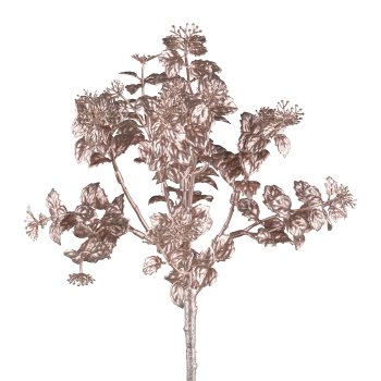 Miniblattzweig, 29cm, champagner