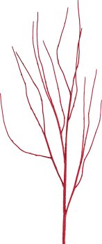 Cornus, 94cm, rubin