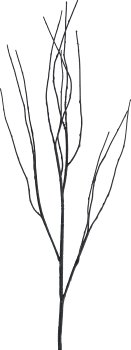 Cornus, 94cm, black